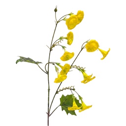 [5PL0332Y] Decorative branch with flowers Yellow Green 80 cm