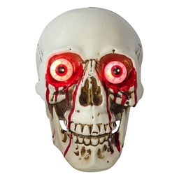 [66919] Decoration Skull White Brown 16x15x20 cm