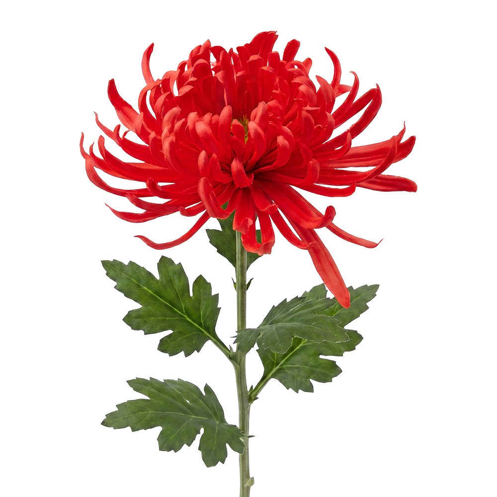 Branche décorative avec fleurs Rouge Vert 76 cm