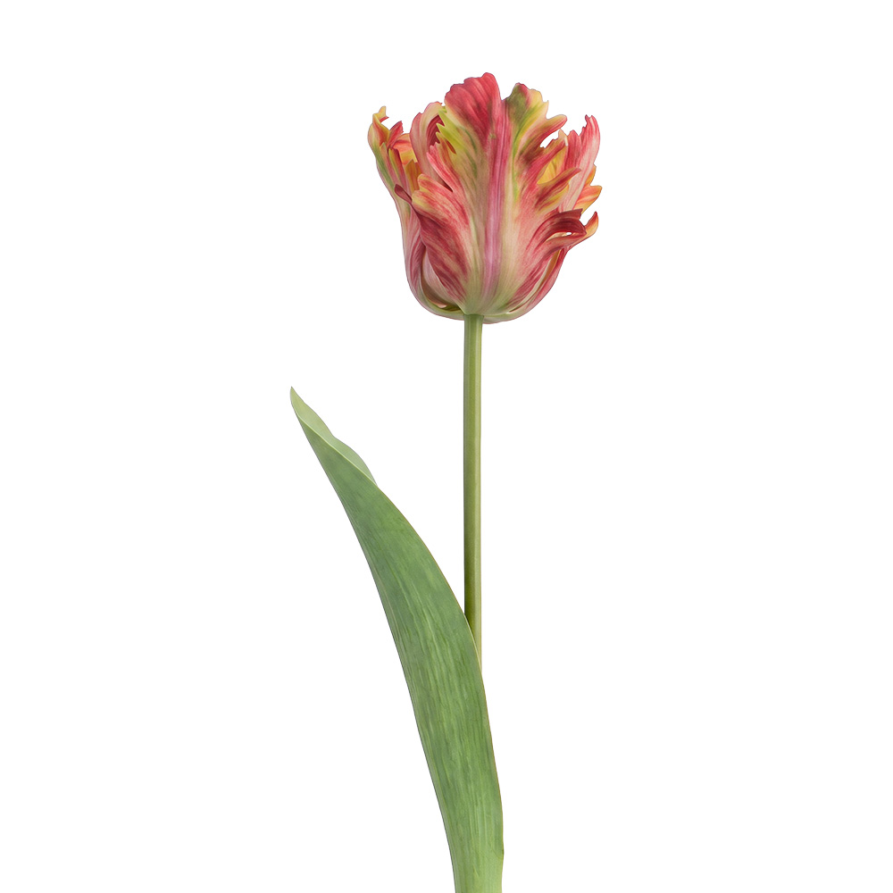 Rami Artificiali Decorativi con fiori Arancio Verde 61 cm