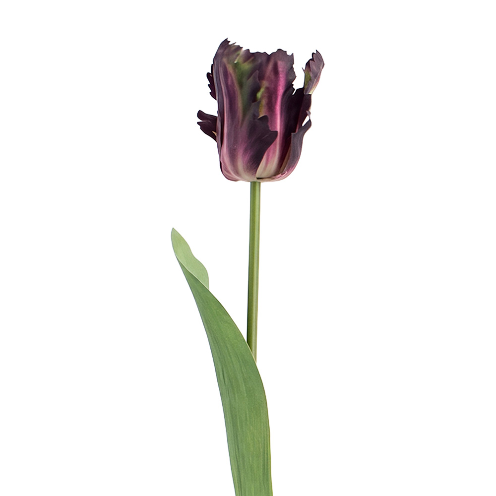 Decorative Artificial Branch with flowers Purple Green 61 cm