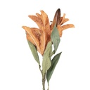 Branche de décoration avec fleurs Marron Vert 12x16x88 cm