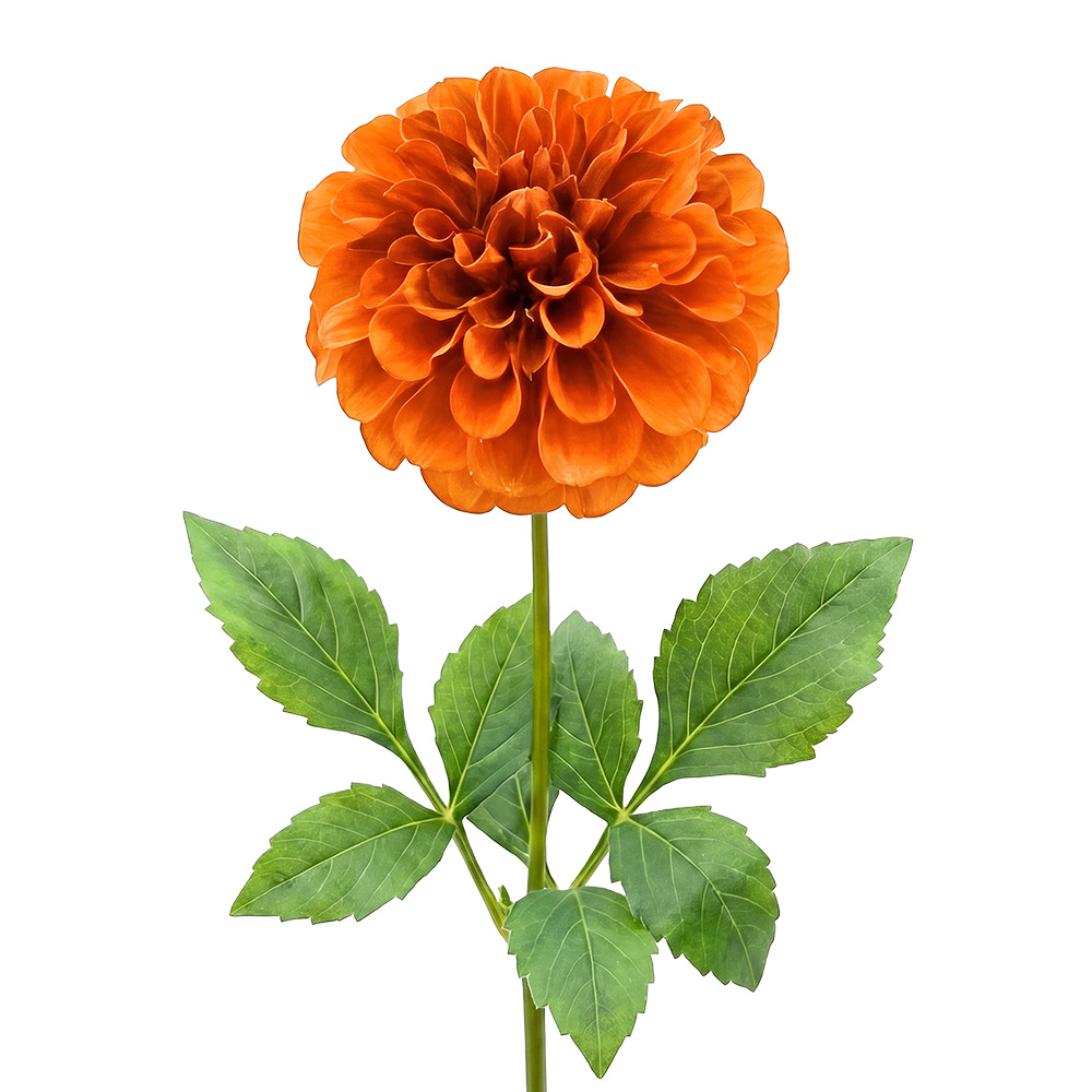 Deko Ast mit Blumen Orange Grün 65 cm
