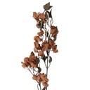 Branche de décoration avec fleurs Jaune Vert 12x15x110 cm