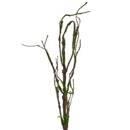 [5PL0186] Branche de décoration Marron Vert 28x5x130 cm
