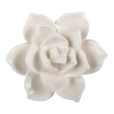 Doorknob White Brown Ø 5x4 cm / S3 cm