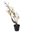 Decorative Magnolia tree White Braun 16x14x60 cm