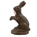 Decoration Rabbit Brown 8x4x13 cm