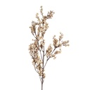 Artificial Flower White Brown 10x8x104 cm