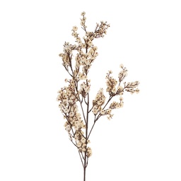[5PL0200W] Artificial Flower White Brown 10x8x104 cm
