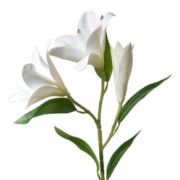[5PL0119W] Deko Ast mit Blumen Weiß Grün 17x12x71 cm