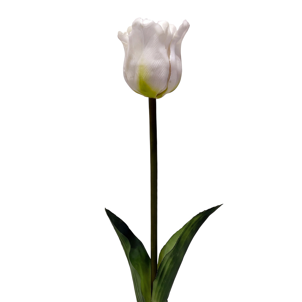 Rami Artificiali Decorativi con fiori Bianco Verde 42 cm