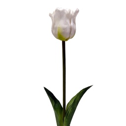 [6PL0432W] Decorative Artificial Branch with flowers White Green 42 cm