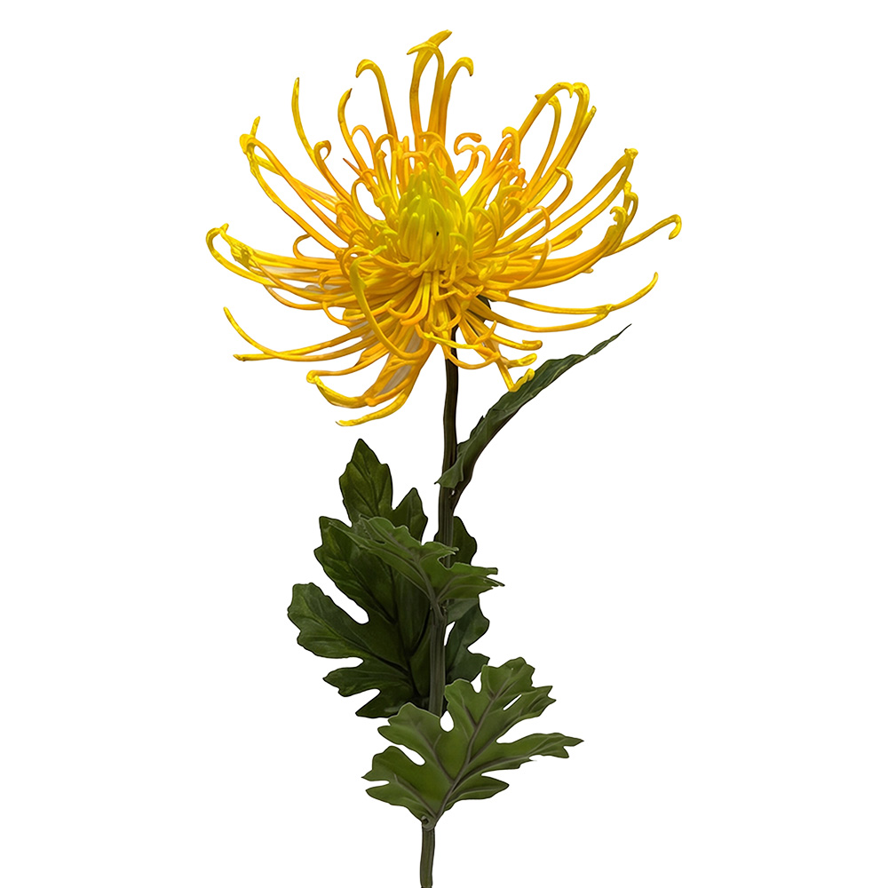 Decoratie tak met bloemen 72 cm