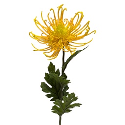 [5PL0334Y] Decorative branch with flowers Yellow Green 72 cm