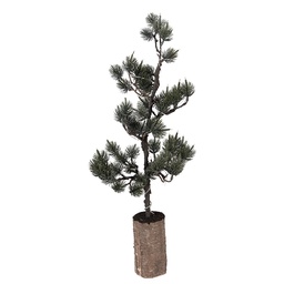 [50843] Albero di decorazione con LED Verde Marrone 20x17x60 cm / 3xAAA
