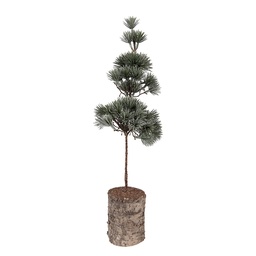 [66433] Albero di decorazione Verde Marrone 14x14x45 cm
