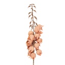 Branche de décoration avec fleurs Orange Brun 12x12x100 cm