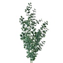 Decorative Artificial Branch Green 8x3x70 cm
