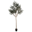 Arbre d'olivier décoration Vert Beige 120x80x240 cm
