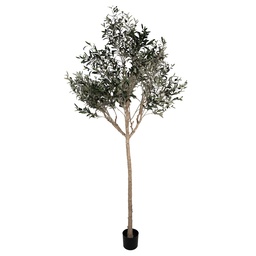 [5PL0139] Arbre d'olivier décoration Vert Beige 120x80x240 cm