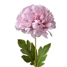 [5PL0133LPA] Artificial Flower Purple Green 15x15x80 cm