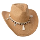 Hoed Ø 57 cm bruin