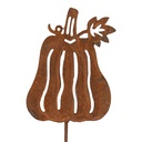 Spuntone da Giardino Zucca Marrone 7x1x40 cm