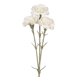 [5PL0379W] Decoratie tak met bloemen