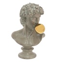 Statua Busto Uomo Grigio 21x16x34 cm