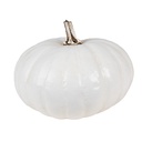 Décoration Citrouille Blanc Ø 17x13 cm