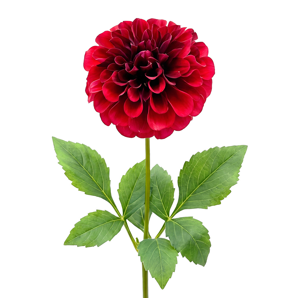 Deko Ast mit Blumen Rot Grün 65 cm