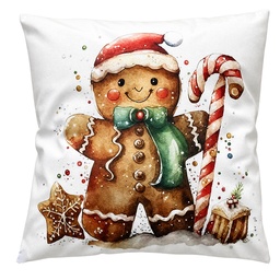 [KG023.241] Coussin rempli Blanc Marron 45x45x4 cm