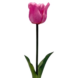 [6PL0432LP] Decoratie tak met bloemen 42 cm