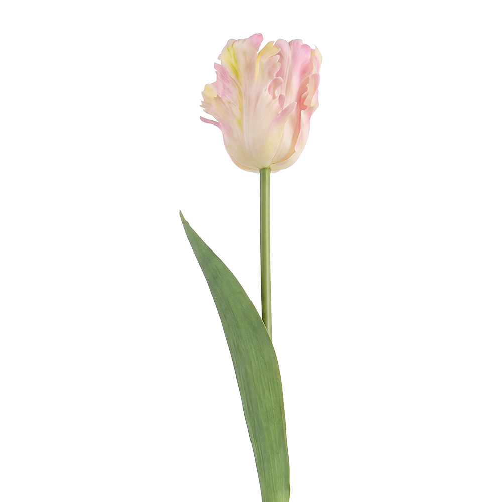 Rami Artificiali Decorativi con fiori Rosa Verde 61 cm