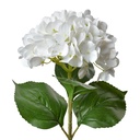 Artificial Flower White Green 16x15x68 cm