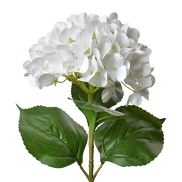 [5PL0137W] Artificial Flower White Green 16x15x68 cm