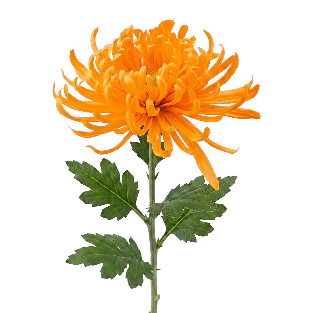 Decorative branch with flowers Orange Green 76 cm