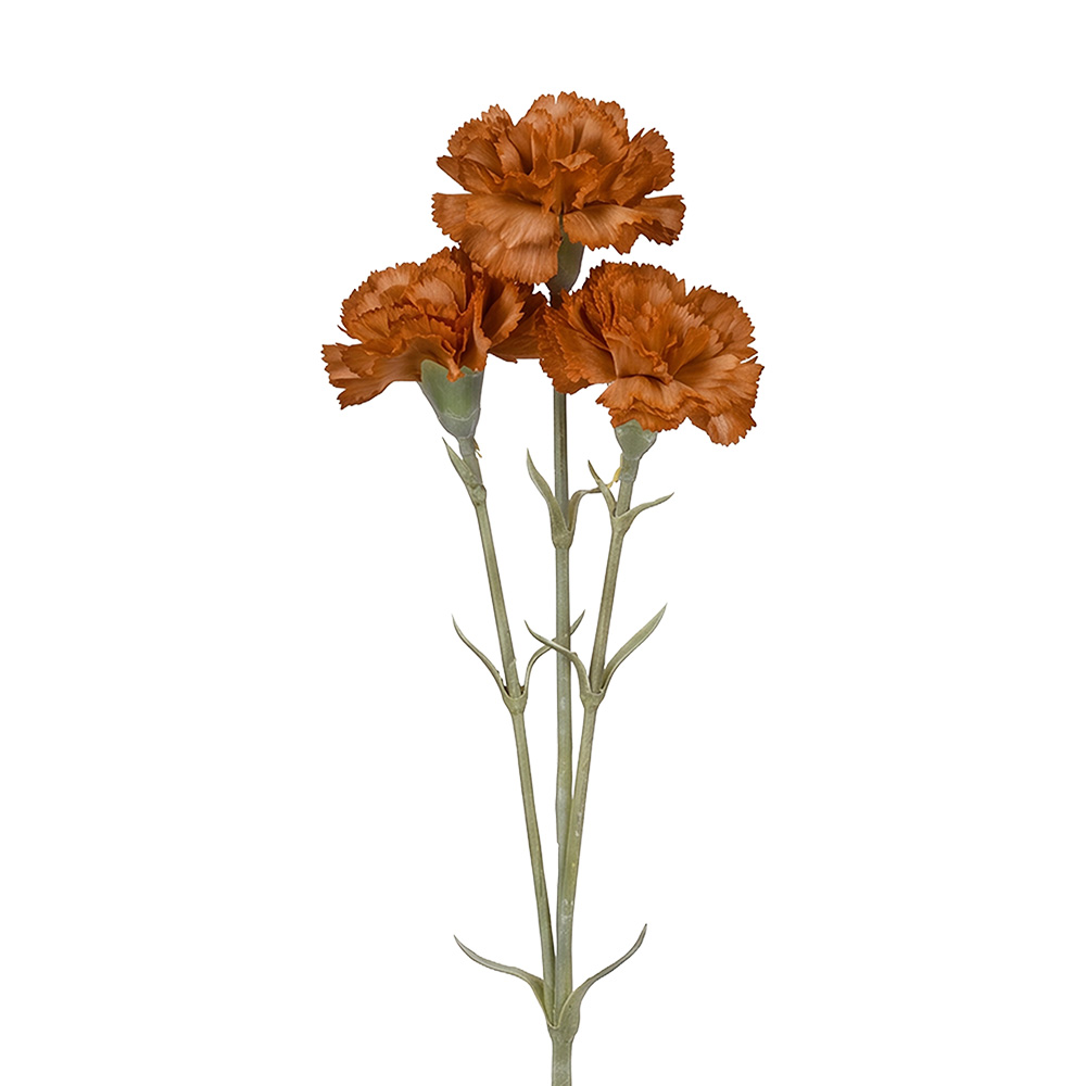 Decorative branch with flowers Brown Green