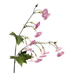 [5PL0332LP] Branche décorative avec fleurs Rose Vert 80 cm