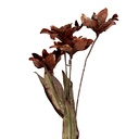 Decorative Artificial Branch with flowers Orange Green 8x5x60 cm