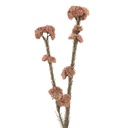 Branche de décoration avec fleurs Rose Vert 6x6x58 cm