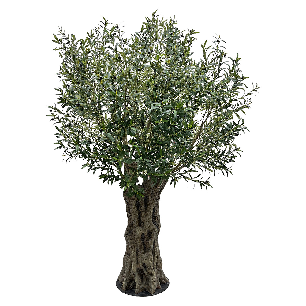 Arbre d'olivier décoration Vert Marron 240 cm