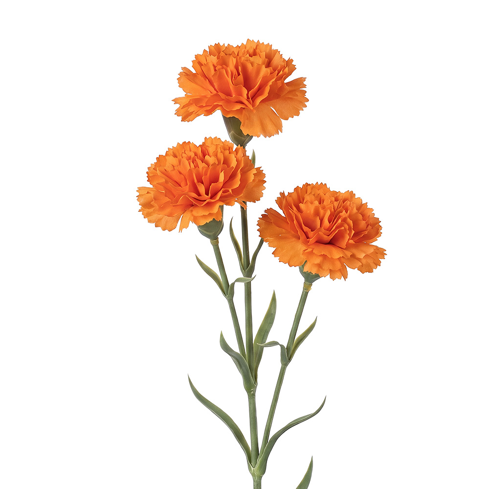 Decorative branch with flowers Orange Green