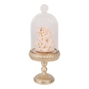 Glasglocke mit Deko Goldfarbig Rosa  Ø 7x17 cm