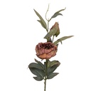 Rami Artificiali Decorativi con fiori Rosa Verde 14x14x83 cm