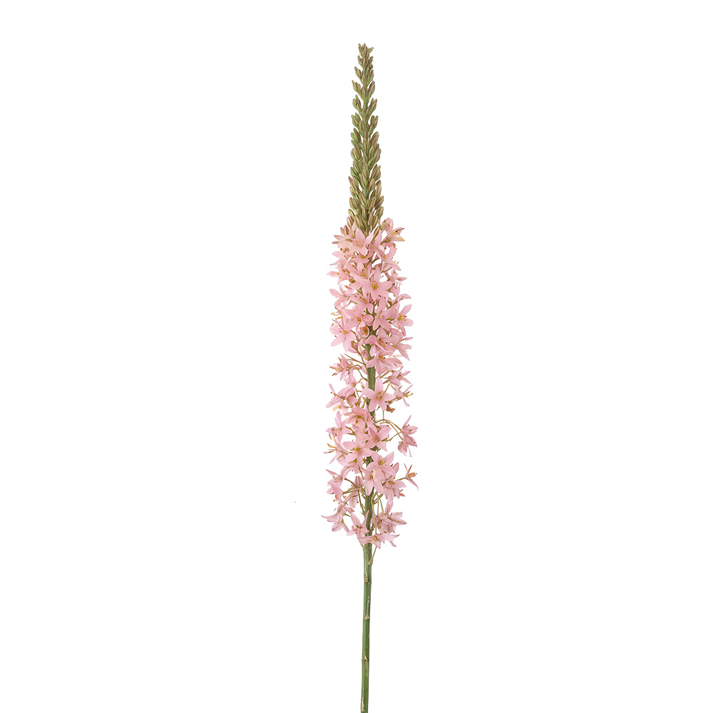 Decorazione ramo con fiori Rosa Verde