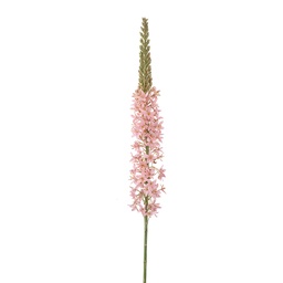 [5PL0381LP] Decoratie tak met bloemen