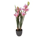 Plante artificielle Cattleya Hybrida Rose Vert 14x14x55 cm