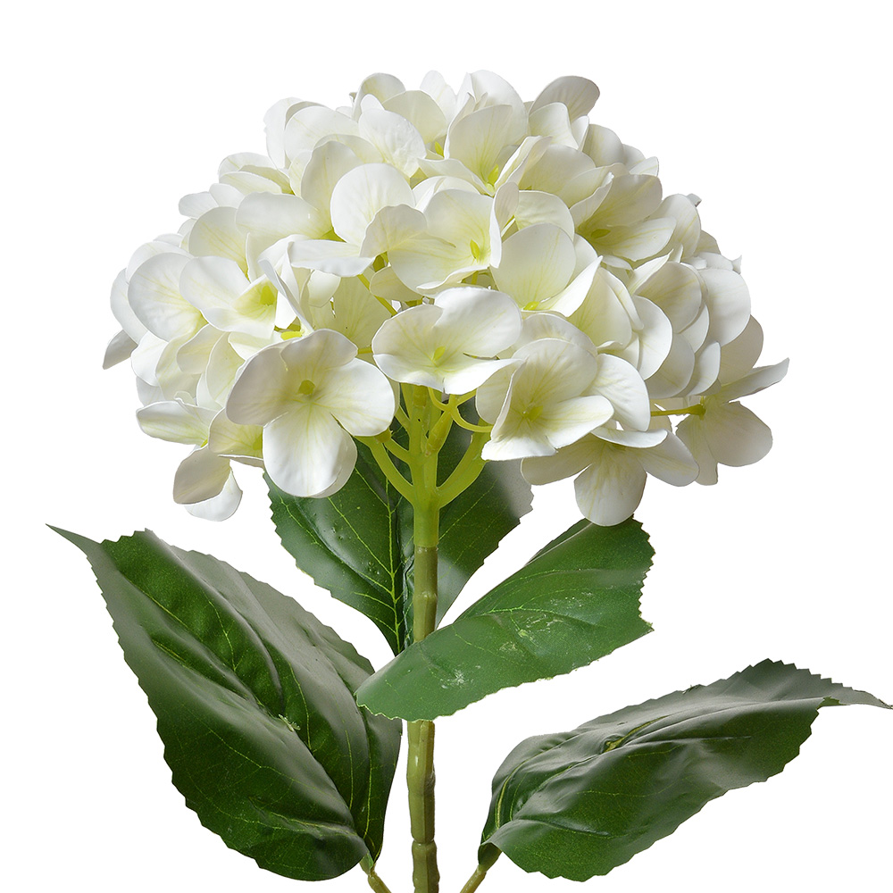 Artificial Flower Beige Green 16x15x68 cm